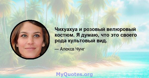 Чихуахуа и розовый велюровый костюм. Я думаю, что это своего рода культовый вид.