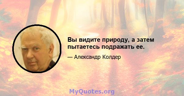 Вы видите природу, а затем пытаетесь подражать ее.