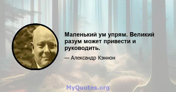 Маленький ум упрям. Великий разум может привести и руководить.