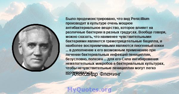 Было продемонстрировано, что вид Penicillium производит в культуре очень мощное антибактериальное вещество, которое влияет на различные бактерии в разных градусах. Вообще говоря, можно сказать, что наименее