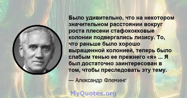 Было удивительно, что на некотором значительном расстоянии вокруг роста плесени стафококковые колонии подвергались лизису. То, что раньше было хорошо выращенной колонией, теперь было слабым тенью ее прежнего «я» ... Я