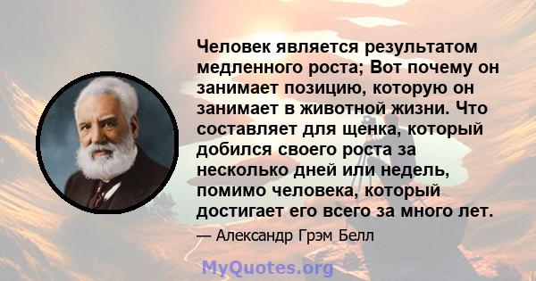 Человек является результатом медленного роста; Вот почему он занимает позицию, которую он занимает в животной жизни. Что составляет для щенка, который добился своего роста за несколько дней или недель, помимо человека,