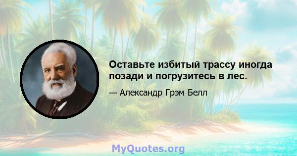 Оставьте избитый трассу иногда позади и погрузитесь в лес.