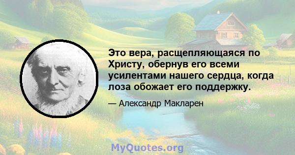 Это вера, расщепляющаяся по Христу, обернув его всеми усилентами нашего сердца, когда лоза обожает его поддержку.