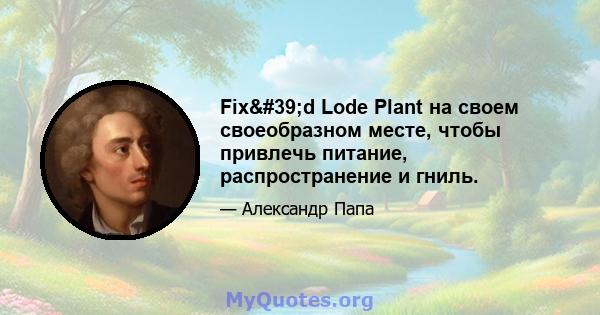 Fix'd Lode Plant на своем своеобразном месте, чтобы привлечь питание, распространение и гниль.