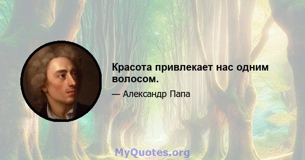 Красота привлекает нас одним волосом.