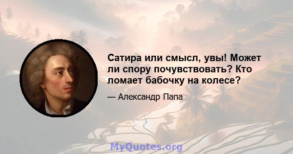 Сатира или смысл, увы! Может ли спору почувствовать? Кто ломает бабочку на колесе?