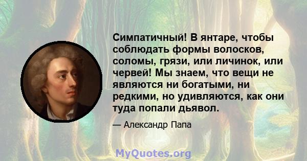 Симпатичный! В янтаре, чтобы соблюдать формы волосков, соломы, грязи, или личинок, или червей! Мы знаем, что вещи не являются ни богатыми, ни редкими, но удивляются, как они туда попали дьявол.