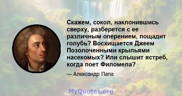 Скажем, сокол, наклонившись сверху, разберется с ее различным оперением, пощадит голубь? Восхищается Джеем Позолоченными крыльями насекомых? Или слышит ястреб, когда поет Филомела?