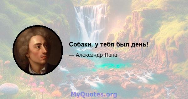 Собаки, у тебя был день!