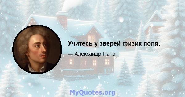 Учитесь у зверей физик поля.