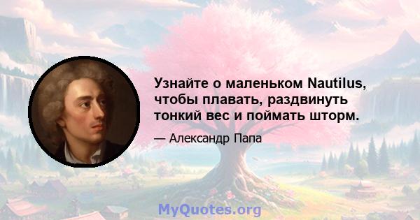 Узнайте о маленьком Nautilus, чтобы плавать, раздвинуть тонкий вес и поймать шторм.