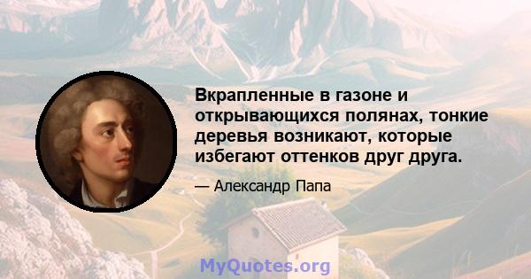 Вкрапленные в газоне и открывающихся полянах, тонкие деревья возникают, которые избегают оттенков друг друга.