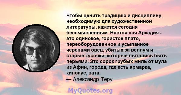 Чтобы ценить традицию и дисциплину, необходимую для художественной литературы, кажется сегодня бессмысленным. Настоящая Аркадия - это одинокое, гористое плато, переоборудованное и усыпанное черепами овец, убитых за