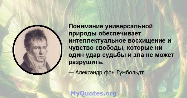 Понимание универсальной природы обеспечивает интеллектуальное восхищение и чувство свободы, которые ни один удар судьбы и зла не может разрушить.