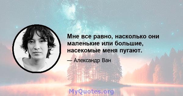 Мне все равно, насколько они маленькие или большие, насекомые меня пугают.