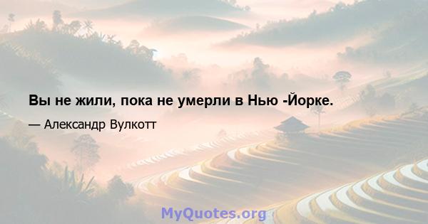 Вы не жили, пока не умерли в Нью -Йорке.