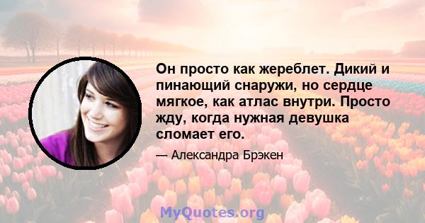 Он просто как жереблет. Дикий и пинающий снаружи, но сердце мягкое, как атлас внутри. Просто жду, когда нужная девушка сломает его.