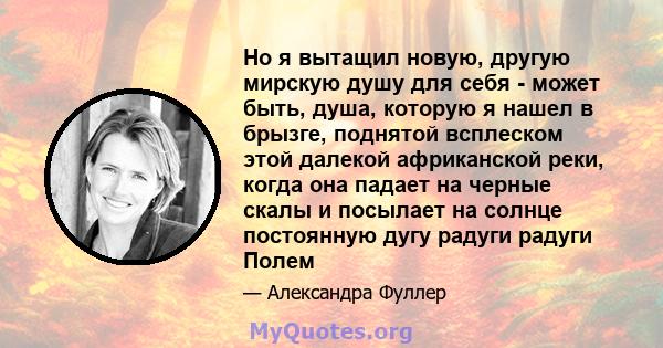 Но я вытащил новую, другую мирскую душу для себя - может быть, душа, которую я нашел в брызге, поднятой всплеском этой далекой африканской реки, когда она падает на черные скалы и посылает на солнце постоянную дугу