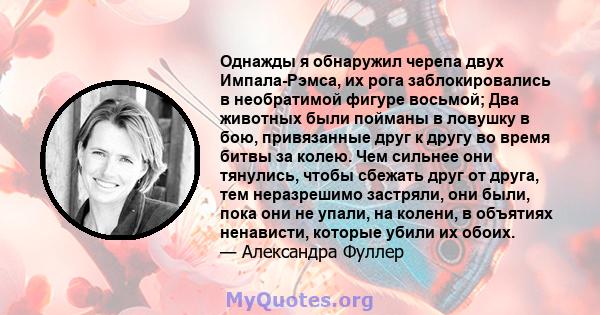 Однажды я обнаружил черепа двух Импала-Рэмса, их рога заблокировались в необратимой фигуре восьмой; Два животных были пойманы в ловушку в бою, привязанные друг к другу во время битвы за колею. Чем сильнее они тянулись,