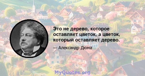 Это не дерево, которое оставляет цветок, а цветок, который оставляет дерево.