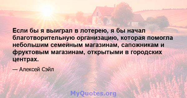 Если бы я выиграл в лотерею, я бы начал благотворительную организацию, которая помогла небольшим семейным магазинам, сапожникам и фруктовым магазинам, открытыми в городских центрах.