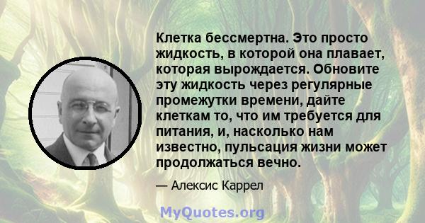 Клетка бессмертна. Это просто жидкость, в которой она плавает, которая вырождается. Обновите эту жидкость через регулярные промежутки времени, дайте клеткам то, что им требуется для питания, и, насколько нам известно,