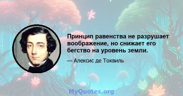 Принцип равенства не разрушает воображение, но снижает его бегство на уровень земли.