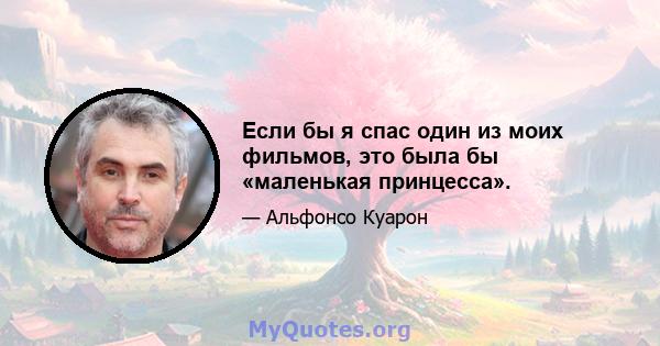 Если бы я спас один из моих фильмов, это была бы «маленькая принцесса».