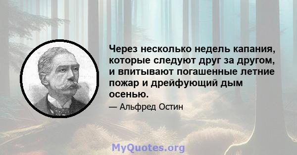 Через несколько недель капания, которые следуют друг за другом, и впитывают погашенные летние пожар и дрейфующий дым осенью.