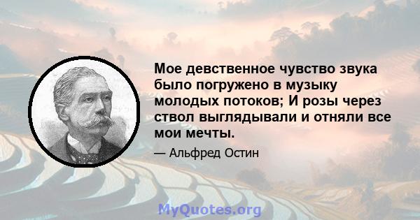 Мое девственное чувство звука было погружено в музыку молодых потоков; И розы через ствол выглядывали и отняли все мои мечты.