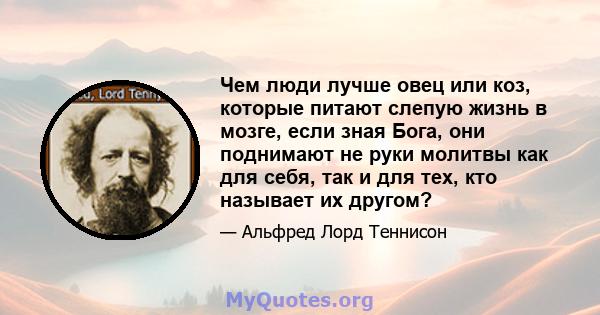 Чем люди лучше овец или коз, которые питают слепую жизнь в мозге, если зная Бога, они поднимают не руки молитвы как для себя, так и для тех, кто называет их другом?