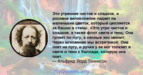 Это утреннее чистое и сладкое, и росивое великолепие падает на маленький цветок, который цепляется за башни и стены; «Это утро чистое и сладкое, а также флот света и тень; Она гуляет по лугу, а лесные эхо звонит; Через