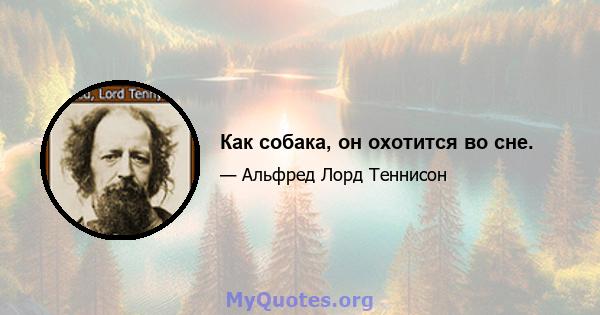 Как собака, он охотится во сне.