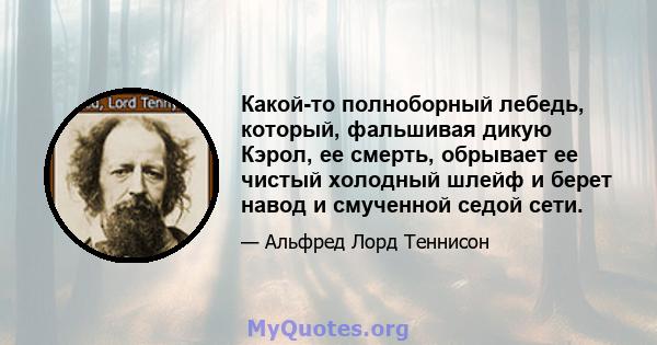 Какой-то полноборный лебедь, который, фальшивая дикую Кэрол, ее смерть, обрывает ее чистый холодный шлейф и берет навод и смученной седой сети.