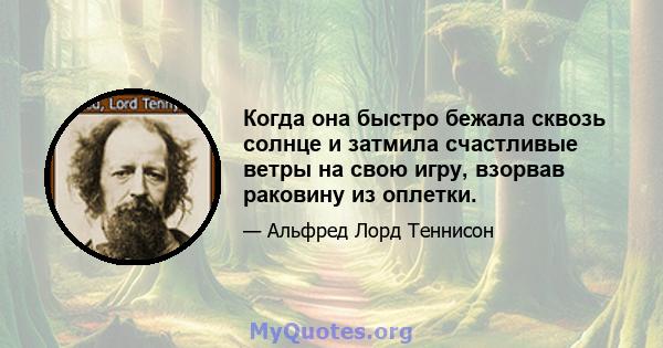 Когда она быстро бежала сквозь солнце и затмила счастливые ветры на свою игру, взорвав раковину из оплетки.