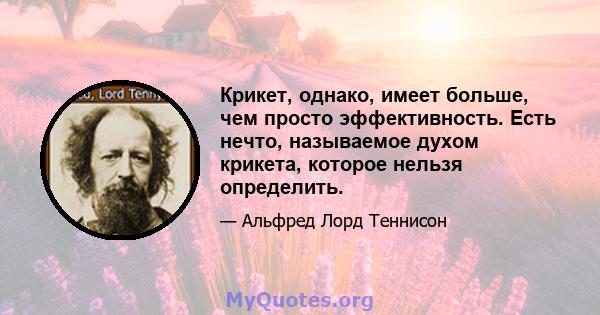 Крикет, однако, имеет больше, чем просто эффективность. Есть нечто, называемое духом крикета, которое нельзя определить.