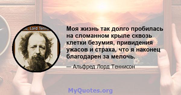 Моя жизнь так долго пробилась на сломанном крыле сквозь клетки безумия, привидения ужасов и страха, что я наконец благодарен за мелочь.