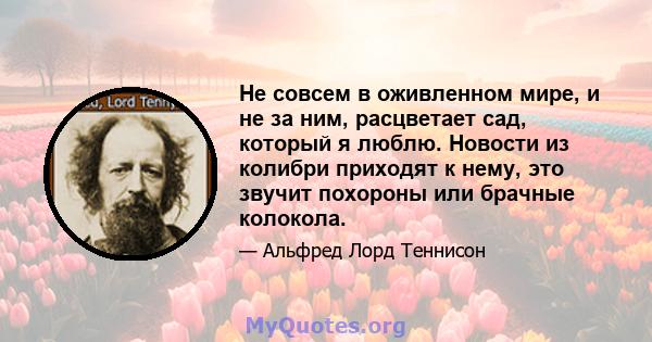 Не совсем в оживленном мире, и не за ним, расцветает сад, который я люблю. Новости из колибри приходят к нему, это звучит похороны или брачные колокола.