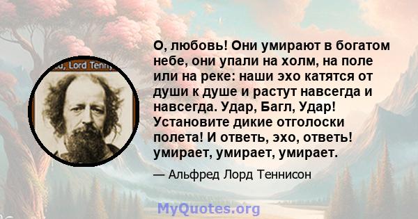 О, любовь! Они умирают в богатом небе, они упали на холм, на поле или на реке: наши эхо катятся от души к душе и растут навсегда и навсегда. Удар, Багл, Удар! Установите дикие отголоски полета! И ответь, эхо, ответь!