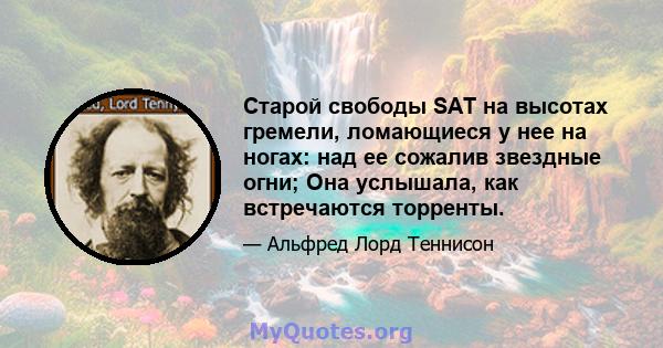 Старой свободы SAT на высотах гремели, ломающиеся у нее на ногах: над ее сожалив звездные огни; Она услышала, как встречаются торренты.