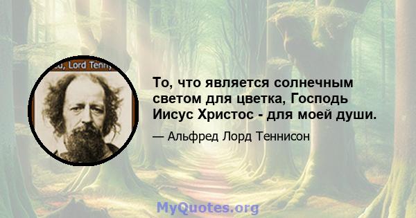 То, что является солнечным светом для цветка, Господь Иисус Христос - для моей души.