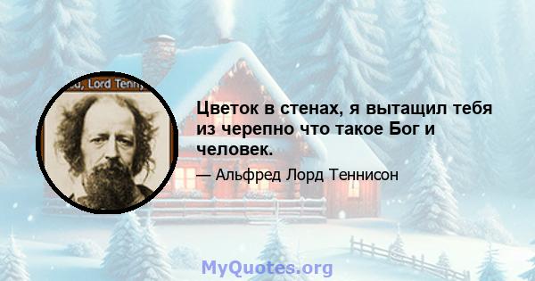 Цветок в стенах, я вытащил тебя из черепно что такое Бог и человек.