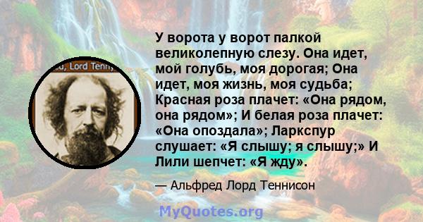 У ворота у ворот палкой великолепную слезу. Она идет, мой голубь, моя дорогая; Она идет, моя жизнь, моя судьба; Красная роза плачет: «Она рядом, она рядом»; И белая роза плачет: «Она опоздала»; Ларкспур слушает: «Я