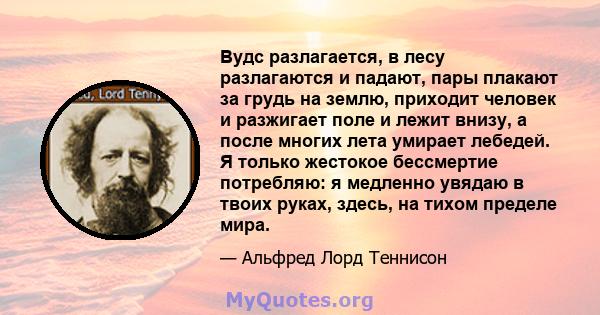 Вудс разлагается, в лесу разлагаются и падают, пары плакают за грудь на землю, приходит человек и разжигает поле и лежит внизу, а после многих лета умирает лебедей. Я только жестокое бессмертие потребляю: я медленно