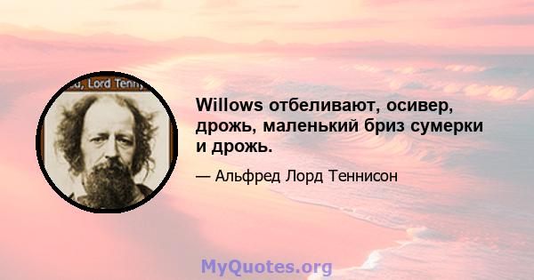 Willows отбеливают, осивер, дрожь, маленький бриз сумерки и дрожь.