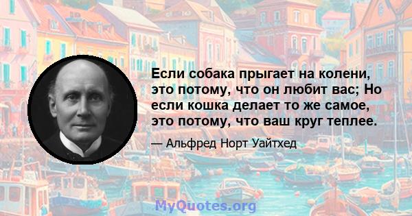 Если собака прыгает на колени, это потому, что он любит вас; Но если кошка делает то же самое, это потому, что ваш круг теплее.