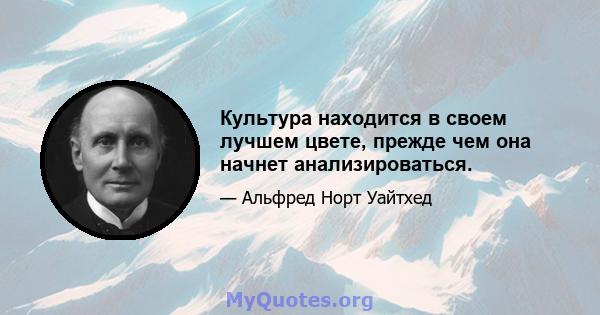 Культура находится в своем лучшем цвете, прежде чем она начнет анализироваться.