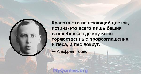 Красота-это исчезающий цветок, истина-это всего лишь башня волшебника, где крутятся торжественные провозглашения и леса, и лес вокруг.