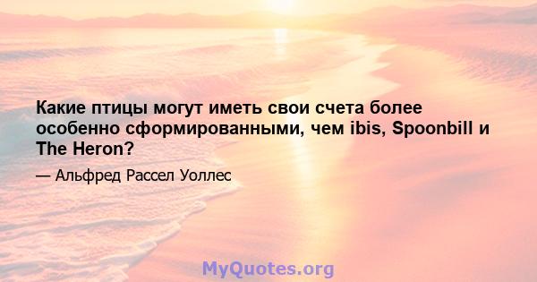 Какие птицы могут иметь свои счета более особенно сформированными, чем ibis, Spoonbill и The Heron?